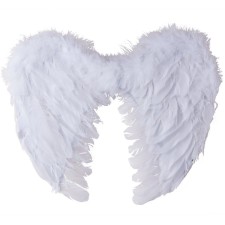 Ailes d'ange plumes blanches pas cher