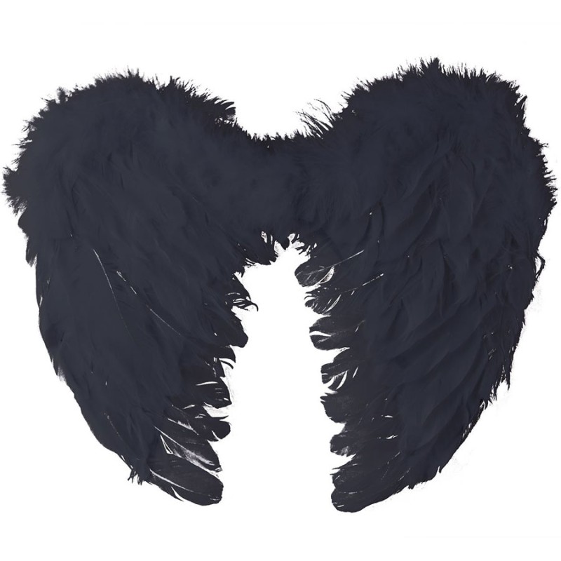 Ailes De Plumes De Diable Noir Noir PNG , Ange, Plume, Aile