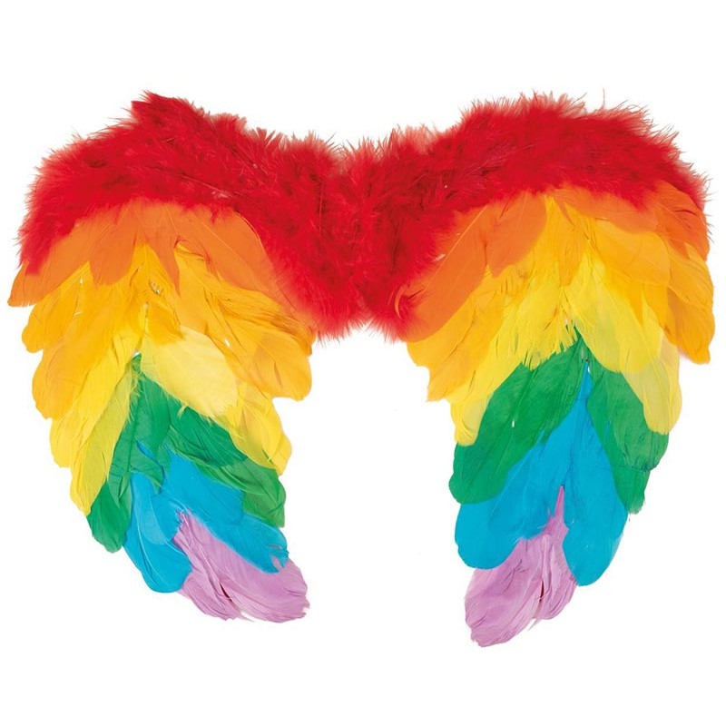 Ailes d'ange Plumes Multicolores 40x32 cm