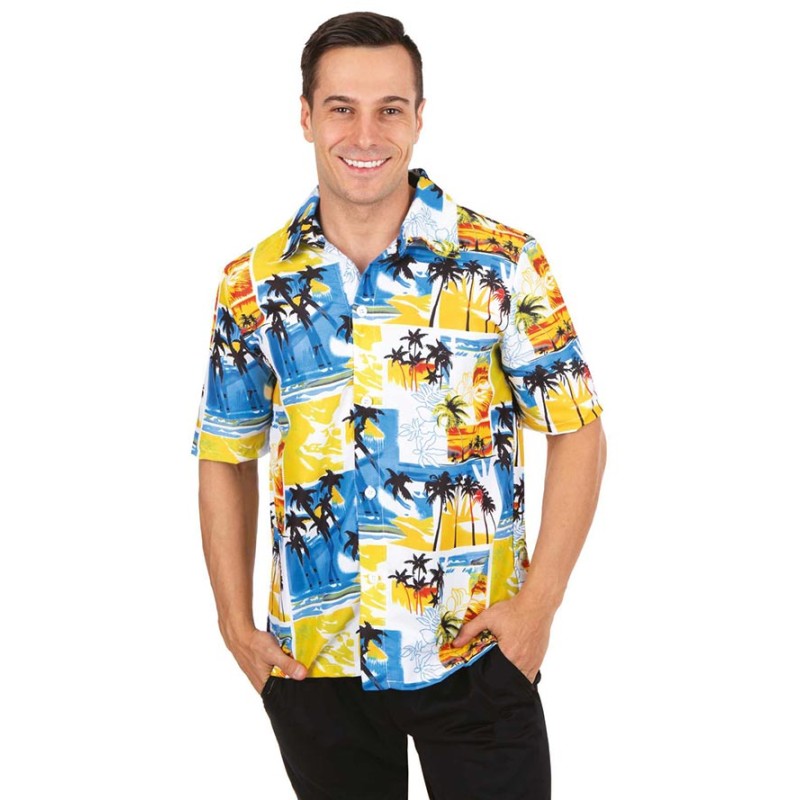 Chemise hawaïenne déguisement