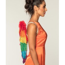 Ailes d'ange multicolores pour costume