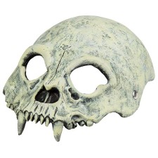 Masque crâne Halloween