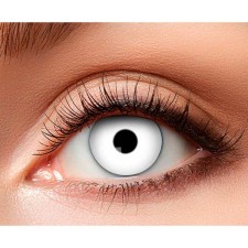 Lentilles blanches