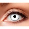 Lentilles blanches