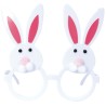 Lunettes tête de lapin