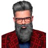 Barbe grise déguisement