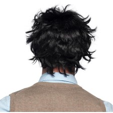 Perruque homme pour déguisement d'intello fou