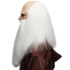Perruque sorcier homme