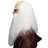 Perruque sorcier homme