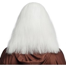 Perruque de magicien aux cheveux blancs