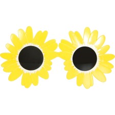 Lunettes de déguisement fleurs