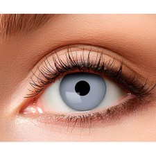 Lentille grise