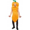 Costume carotte