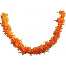 Boa plume orange